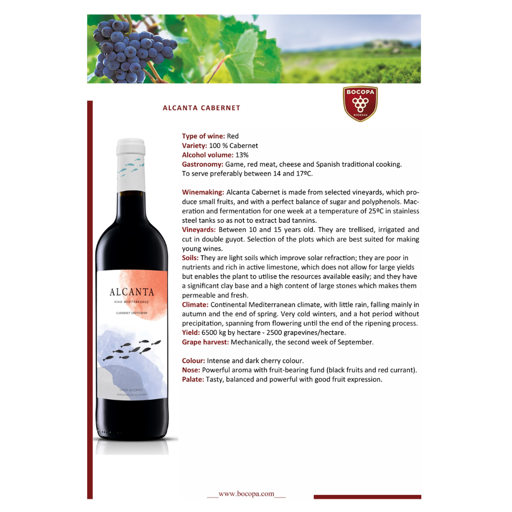 Alcanta Cabernet Sauvignon