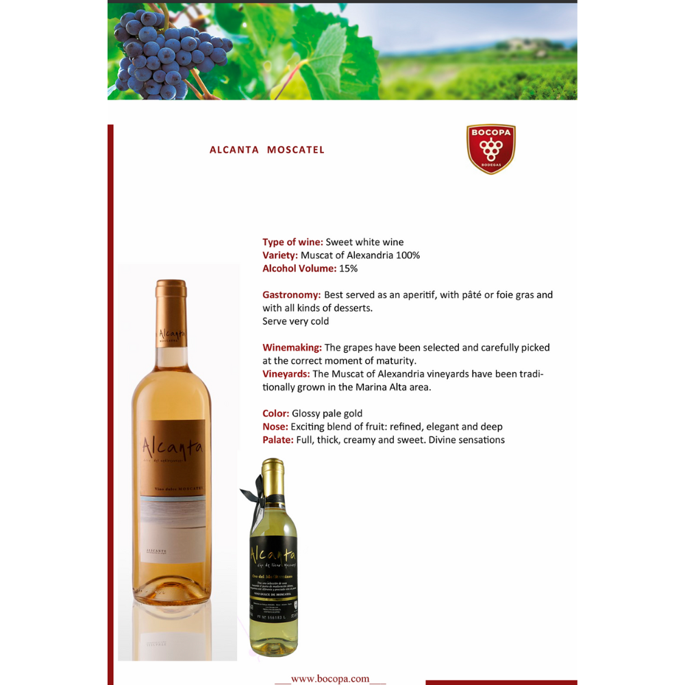 Alcanta Moscatel